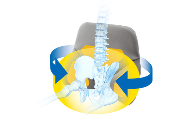 骨盤サポート構造で<br />
腰の負担を軽減。